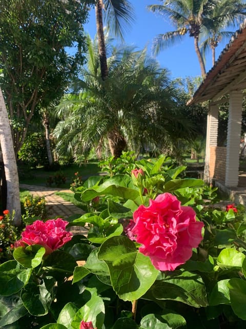 Pousada da Renata Inn in Jericoacoara