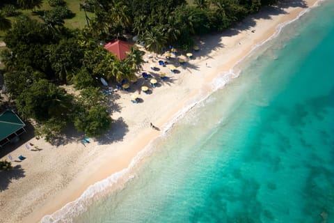 Lounge or bar, Beach