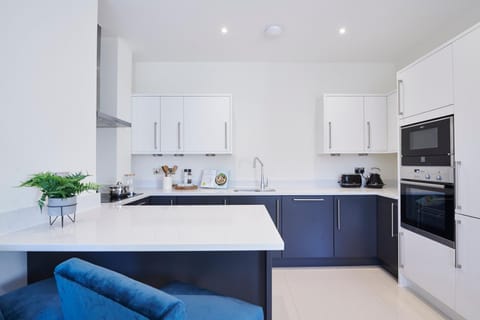 Palace Wharf Apartment in London Borough of Richmond upon Thames