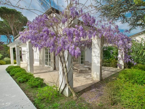 Villa Delizia by Interhome Villa in Forte dei Marmi