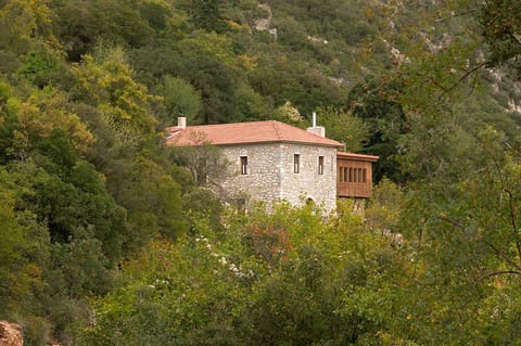 Property building, Neighbourhood, Autumn