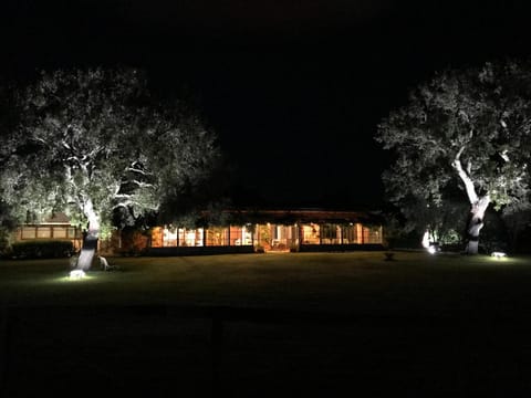 Property building, Night, Natural landscape, Garden, Garden view