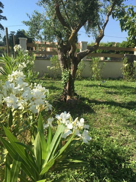 Garden, Garden view