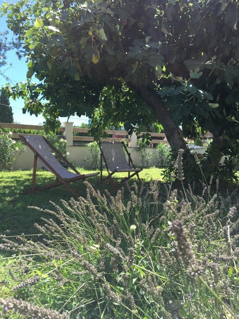 Garden, Garden view