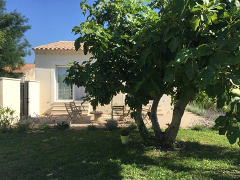 La Maison du Figuier Maison de campagne in Le Thor