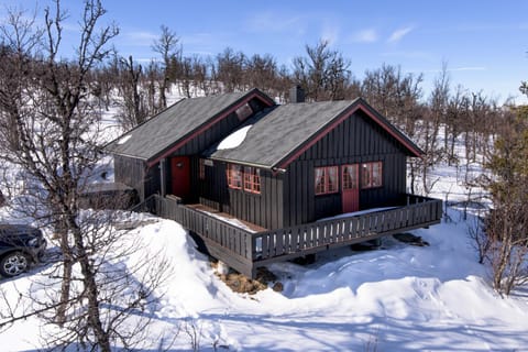 Property building, Winter