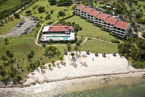 Bird's eye view, Beach