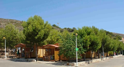 Natural landscape, On site, Mountain view, Mountain view