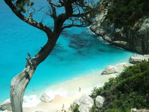 Nearby landmark, Spring, Day, Beach