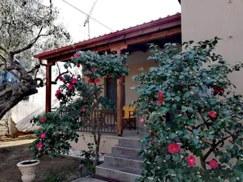 John and Tania's Garden House in Thasos