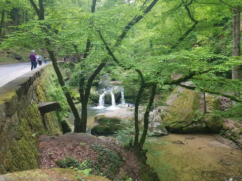 Nearby landmark, Natural landscape