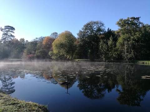 Lake view