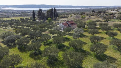 Holiday home Olive House in Split-Dalmatia County