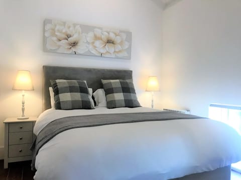 Ice House Apartments Condo in Swansea
