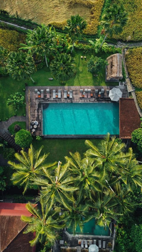 View (from property/room), Garden view, Garden view, Pool view, Pool view, Swimming pool, Swimming pool