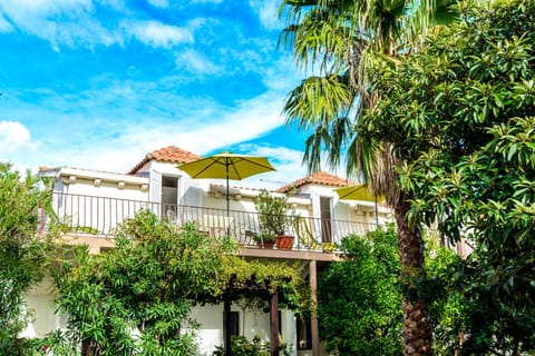 Patio, Garden, Balcony/Terrace