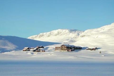 Bird's eye view, Winter, Skiing