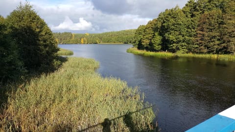 Natural landscape, River view