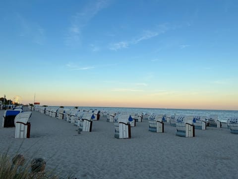 Natural landscape, Beach