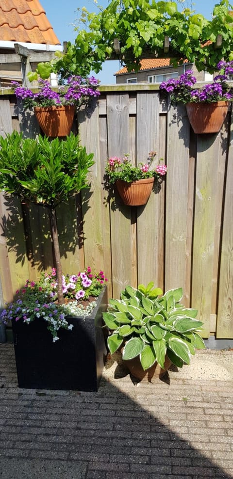 Garden, Garden, Balcony/Terrace