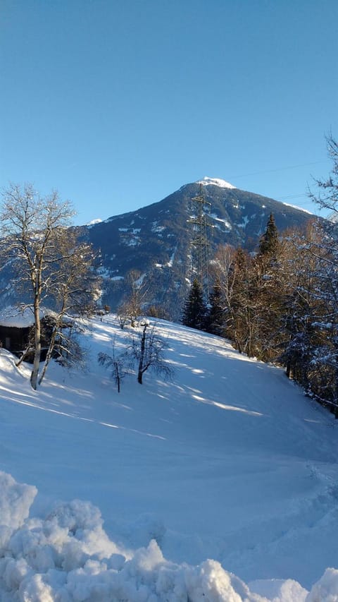 Natural landscape, Winter