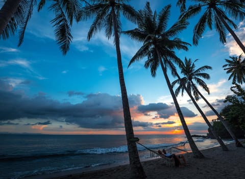 Beach, Entertainment