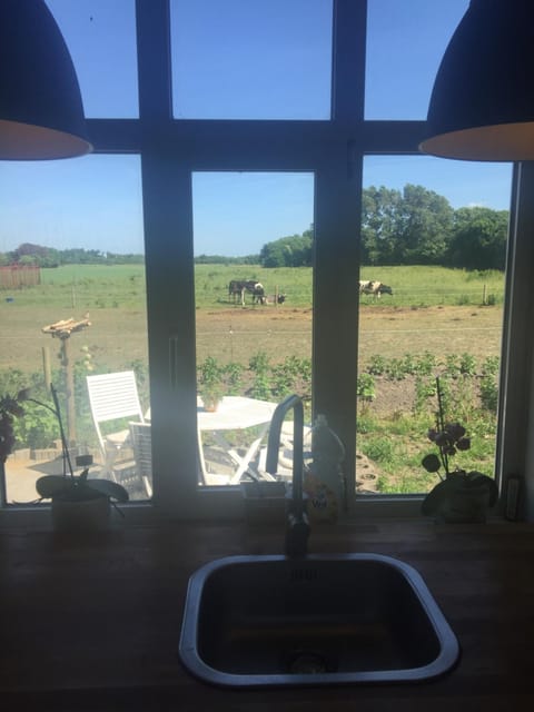 Off site, Food close-up, View (from property/room)