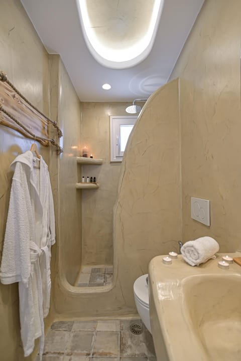 Shower, Toilet, Bathroom, Decorative detail