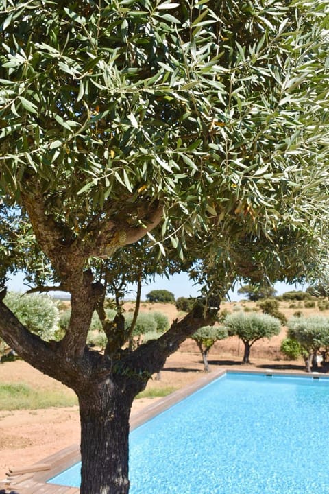 Natural landscape, Garden view, Pool view, Swimming pool