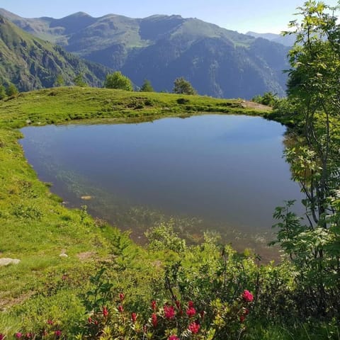 Property building, Natural landscape, Hiking