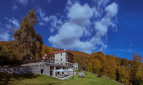 Property building, Nearby landmark, Day, Neighbourhood, Garden