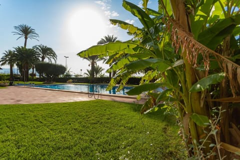Garden, Swimming pool