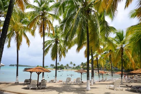 Beach, Sea view