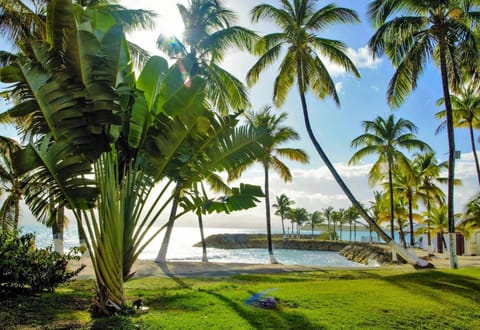 Garden, Sea view