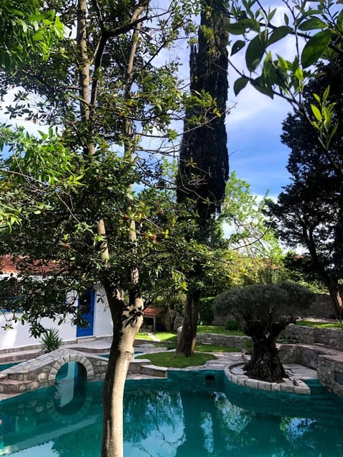 Pool view, Swimming pool