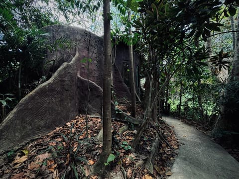 Property building, Natural landscape, Garden view