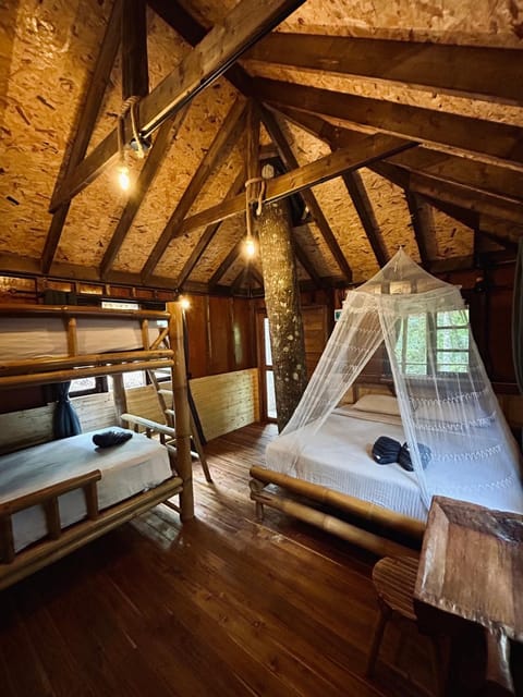 Bed, Photo of the whole room, Bedroom, bunk bed