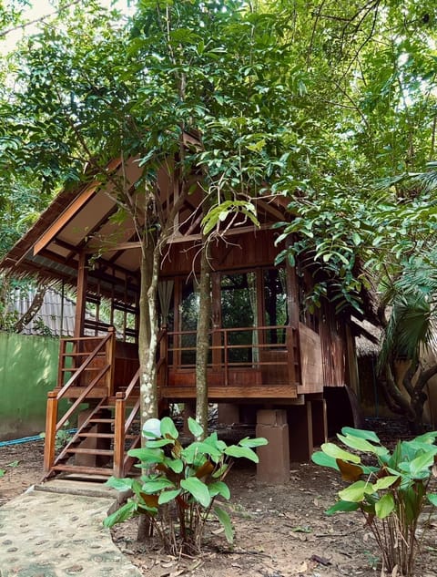 Khao Sok Paradise Resort Resort in Khlong Sok