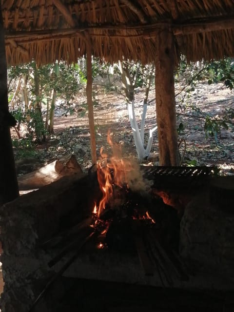 BBQ facilities