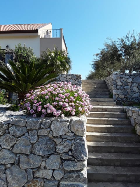 Facade/entrance, Garden