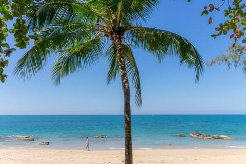 Natural landscape, Sea view