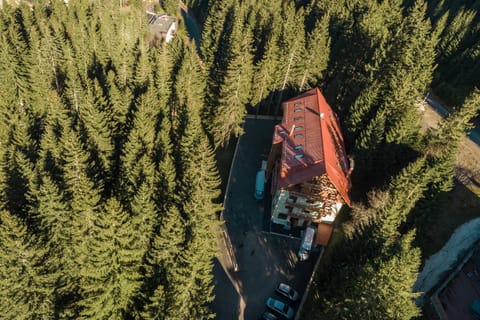 Bird's eye view, Ski School, Skiing, Hiking