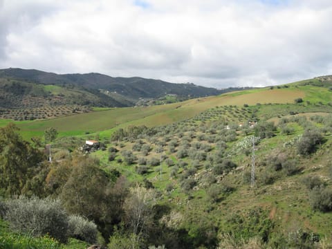 Molino de Las Tablas House in Axarquía