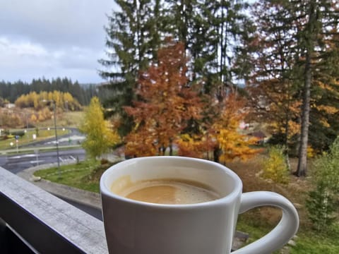 View (from property/room), View (from property/room), Balcony/Terrace, Balcony/Terrace, Landmark view, Mountain view, Mountain view, Quiet street view