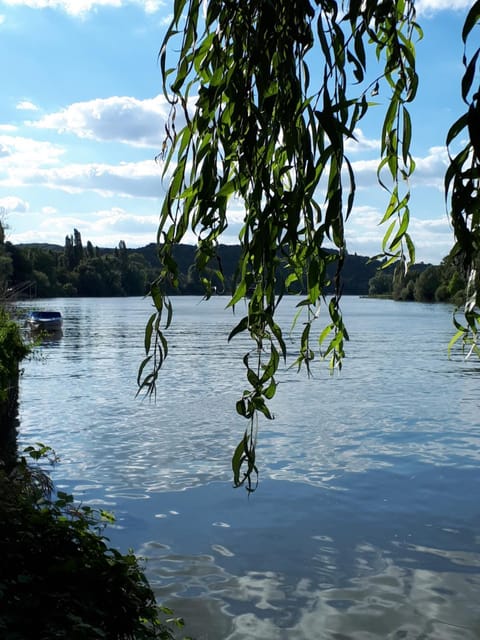 River view