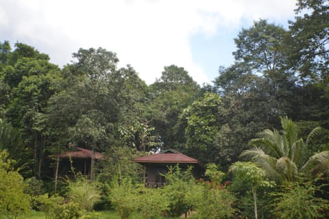 Sepilok Forest Edge Resort Resort in Sabah