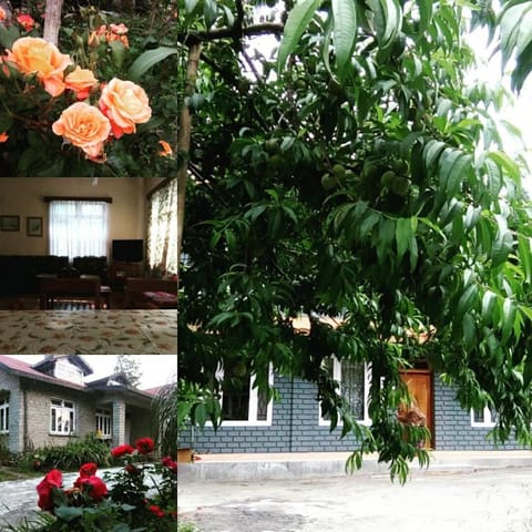 Denzong House Bed and Breakfast in West Bengal