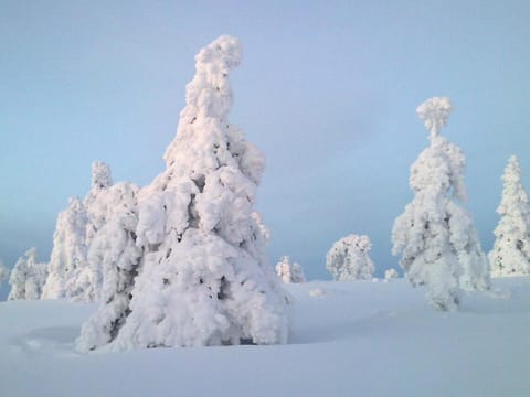 Day, Natural landscape, Winter