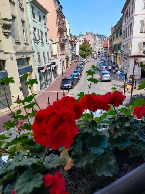 Neighbourhood, City view, Street view