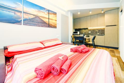 Bed, TV and multimedia, Kitchen or kitchenette, Living room, Seating area, heating, stove, towels, air conditioner